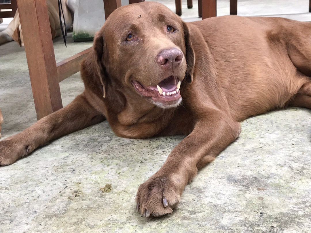 BoBo's Bed & Breakfast主图