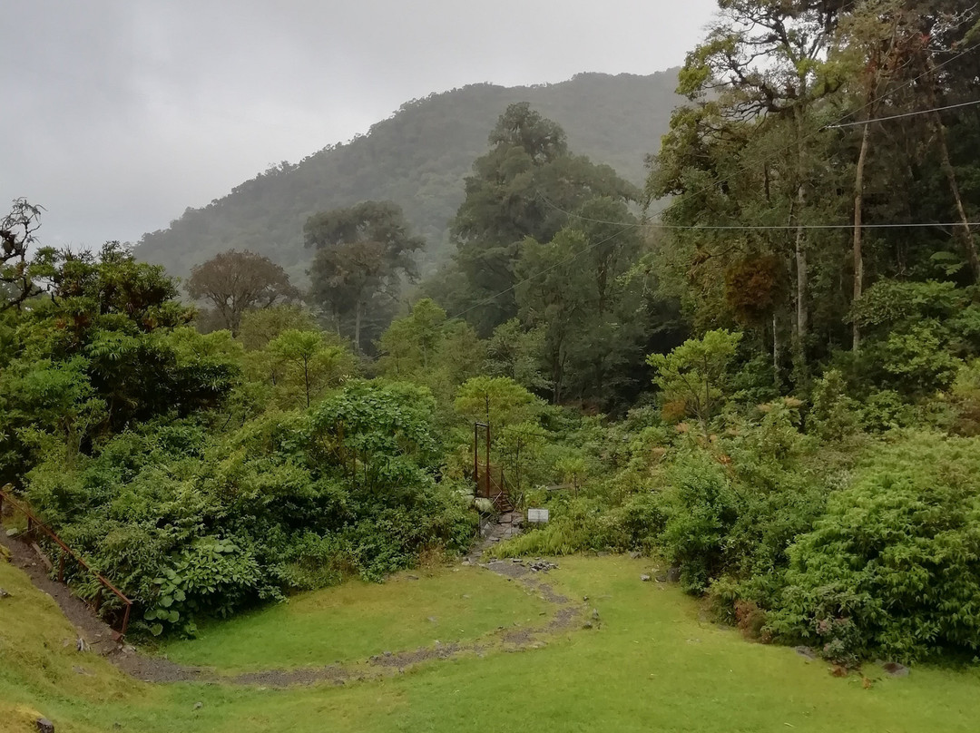 Boquete Tree Trek Mountain Resort主图