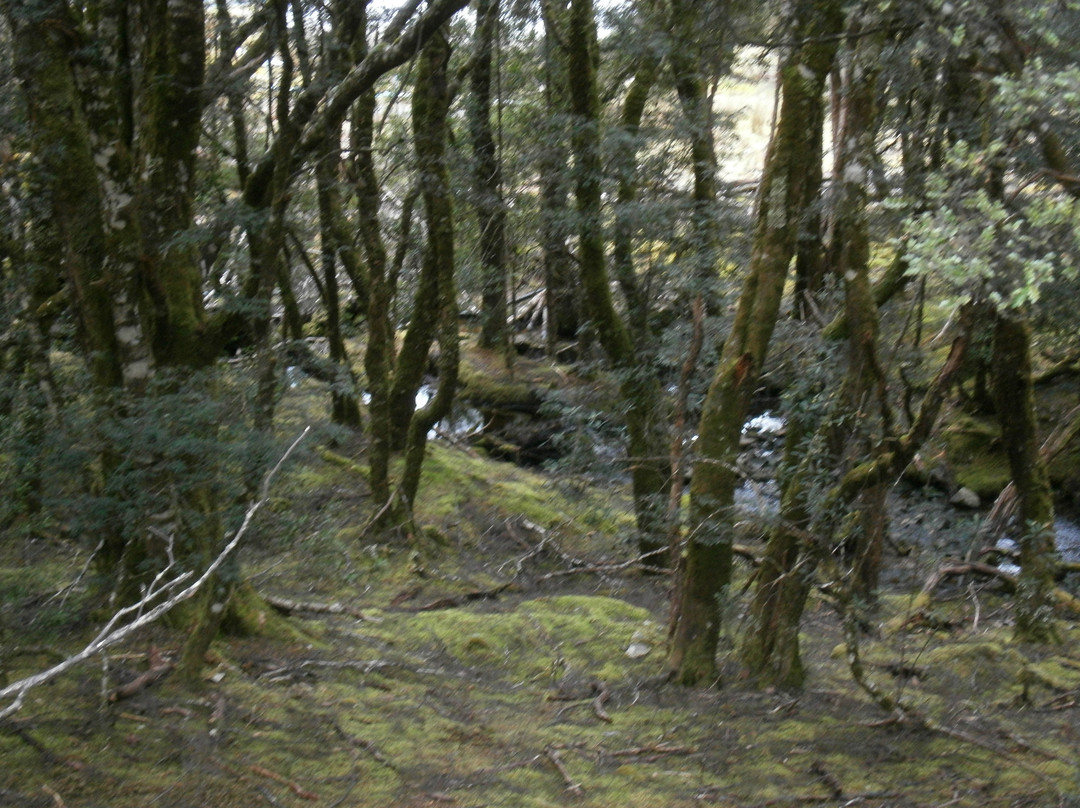 Peppers Cradle Mountain Lodge主图