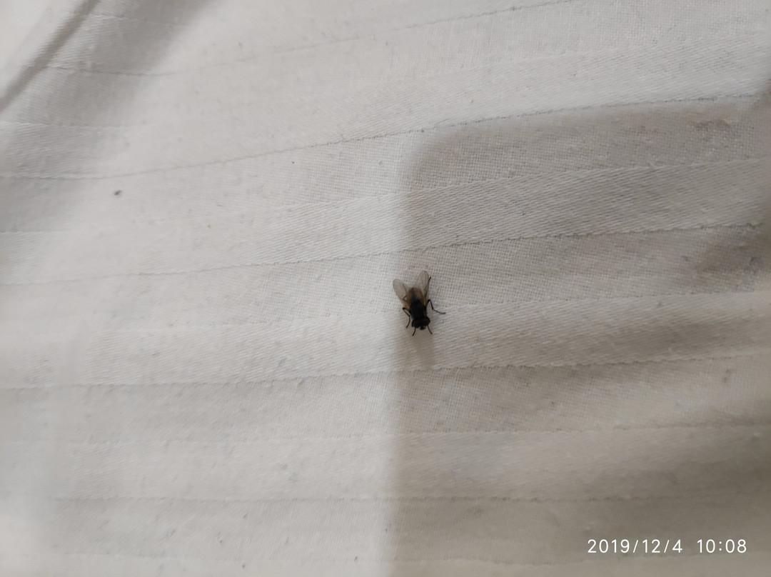 The English Garden主图