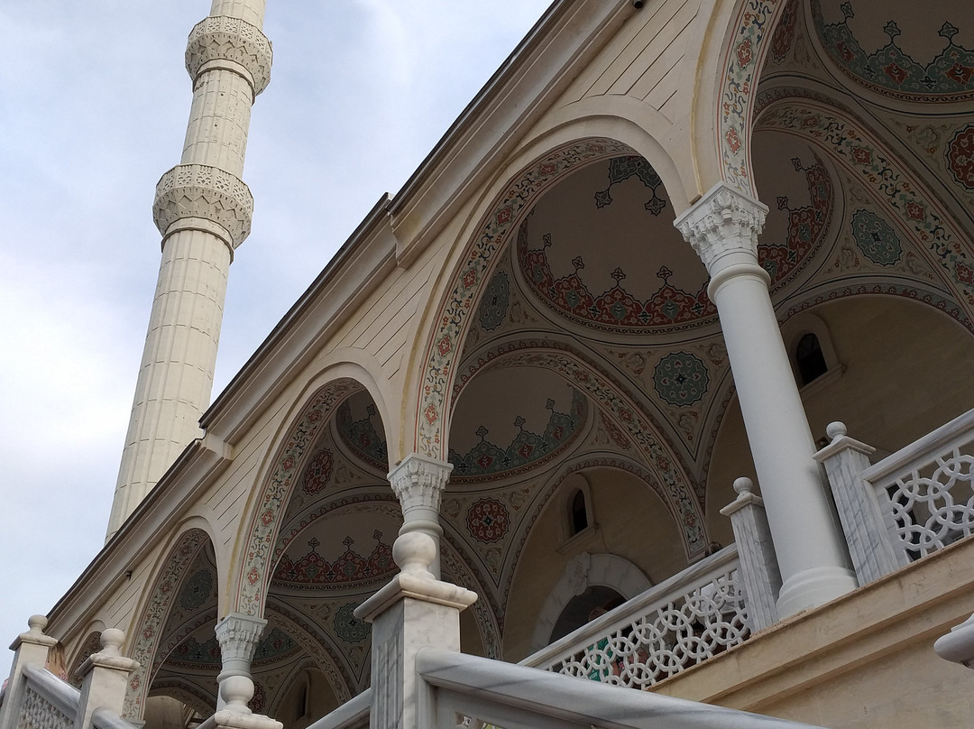 Manavgat Mosque景点图片