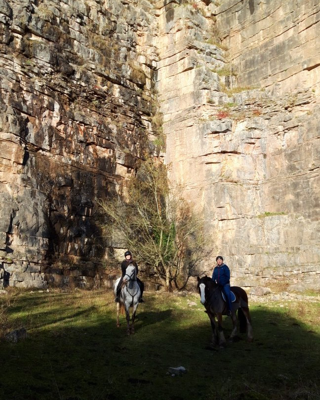 Penycoed Riding Stables-Pant必去景点