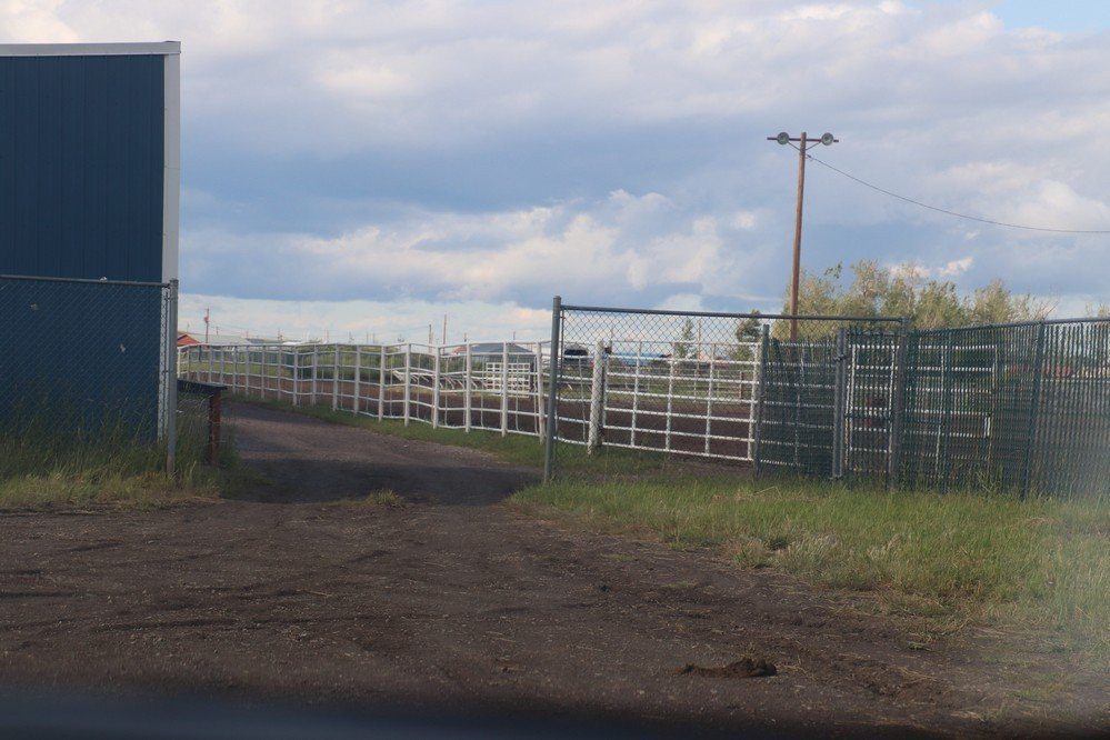 Charging Home Stampede Park景点图片