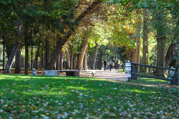 Paseo la Alameda del Parral景点图片