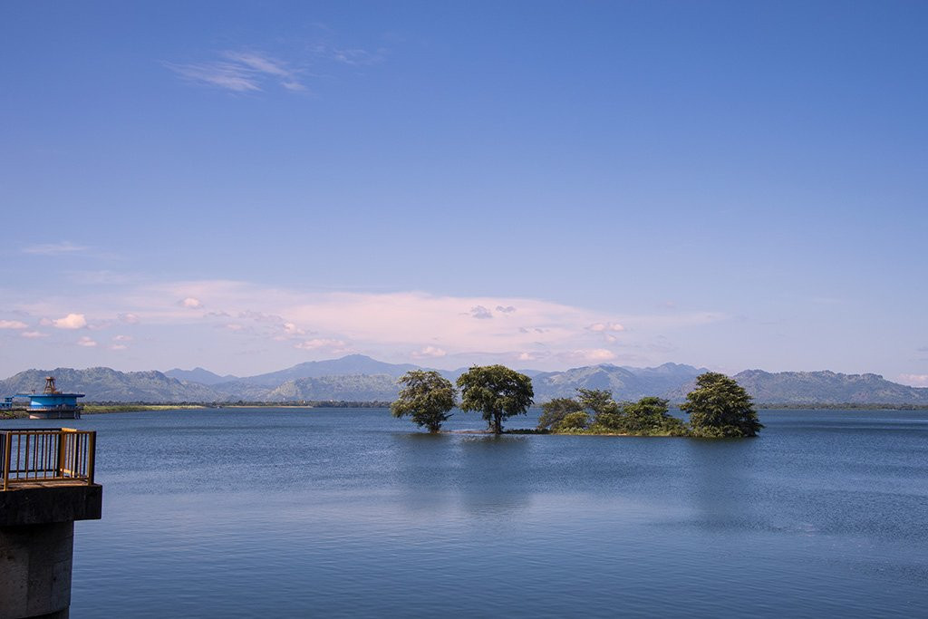 Udawalawe Dam-乌达瓦拉维国家公园必去景点