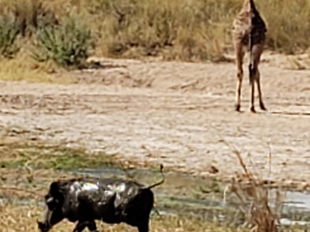 CRA Safari Tours-Iringa必去景点