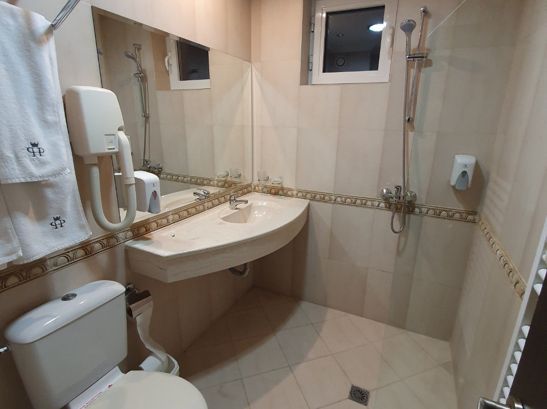 公园酒店普罗夫迪夫主图