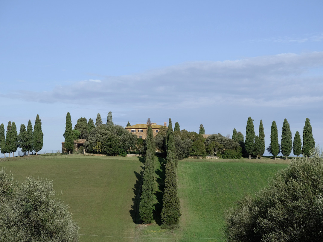 Transfer & Tours Cortona-科尔托纳必去景点