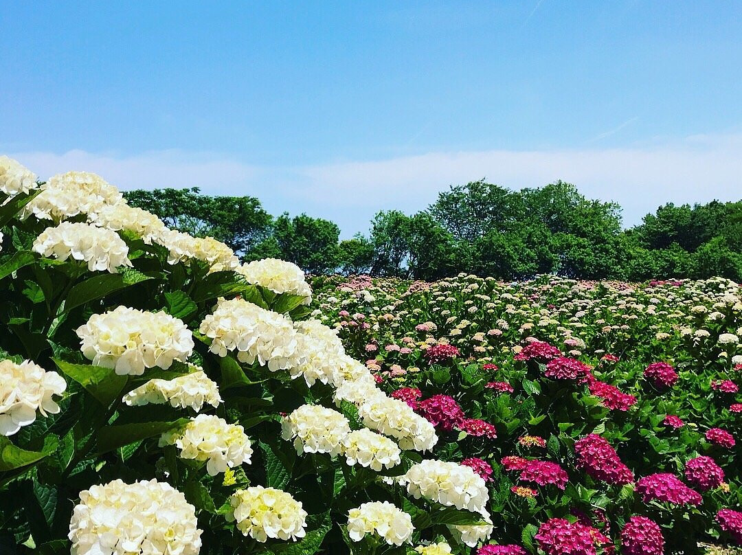 Cape Togenkyo-门川町必去景点
