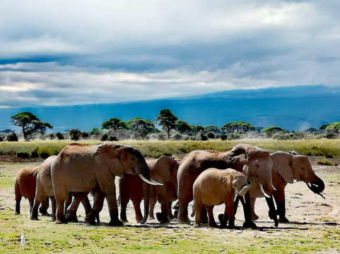 Adventure Mara Tours-蒙巴萨必去景点