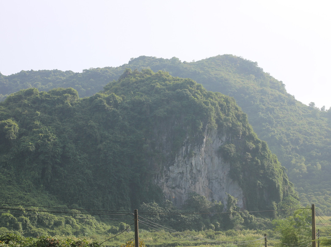 Cat Ba Eco Lodge主图