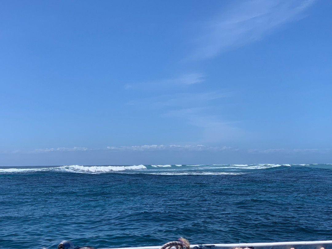 Nakupenda Diving Center-江比阿尼必去景点