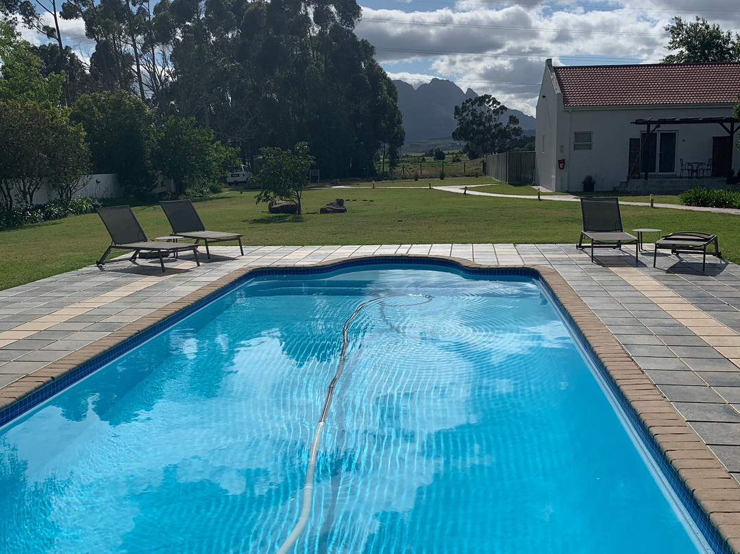 Vine Guesthouse主图