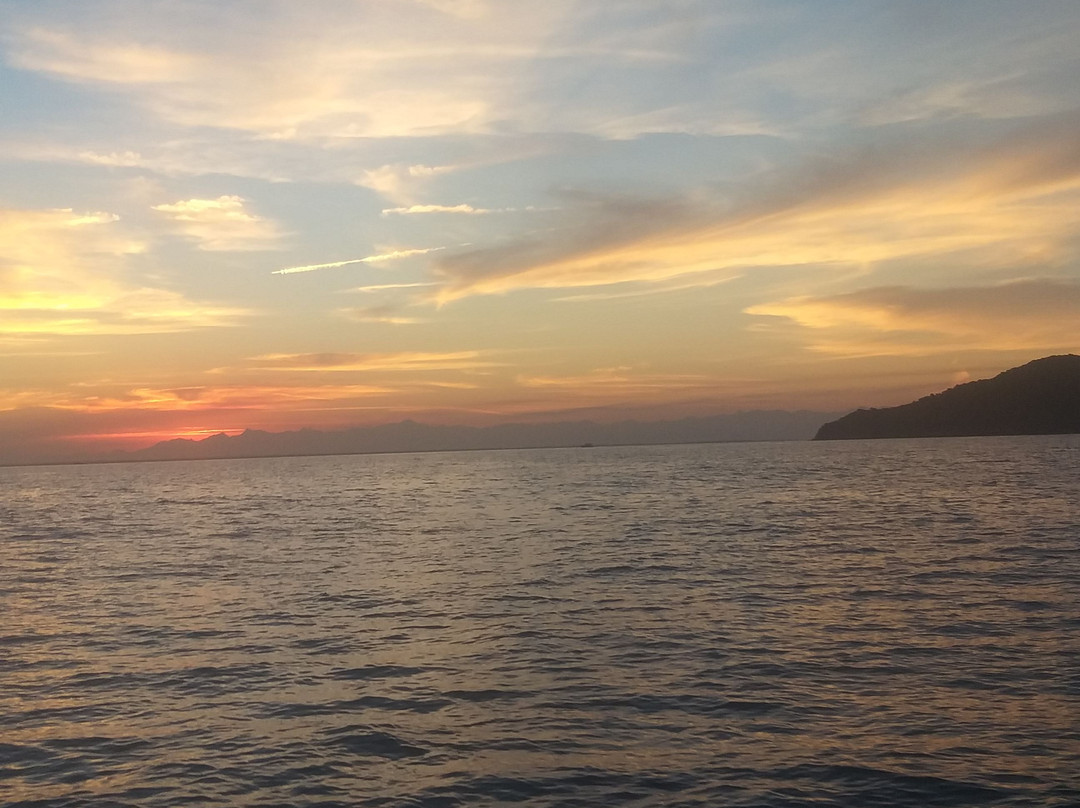 Praia da Tartaruga-布基亚斯必去景点