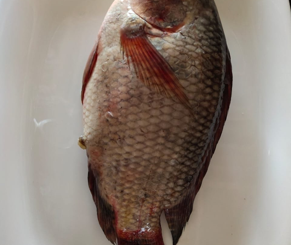 Alappuzha Beach-阿拉普扎必去景点