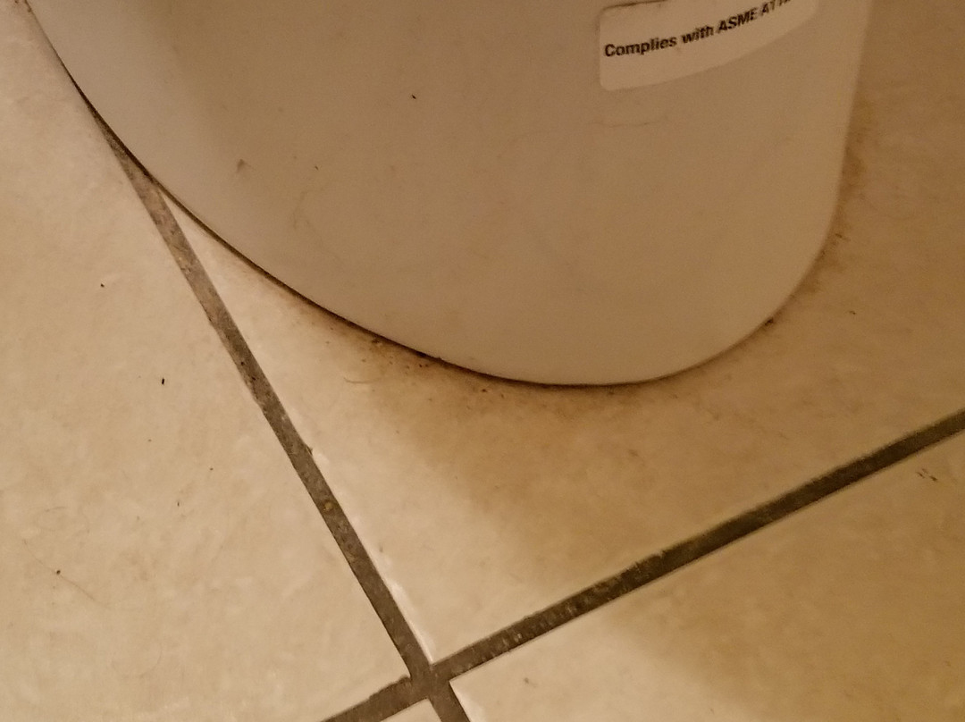 Old Wooden Bridge Marina主图