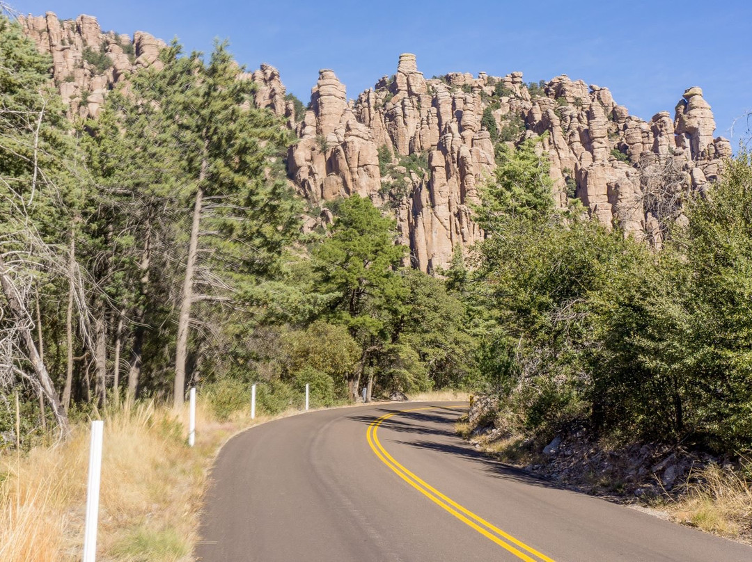 Bonita Canyon Drive-Willcox必去景点