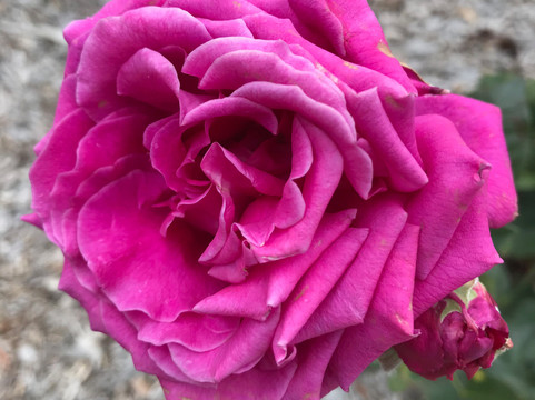 Victorian Timber Workers Memorial-Heyfield必去景点