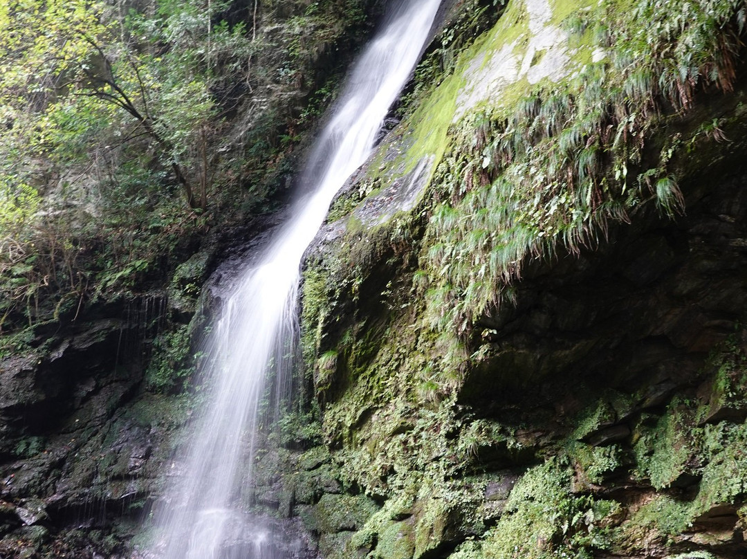 Biwa Waterfall-三好市必去景点
