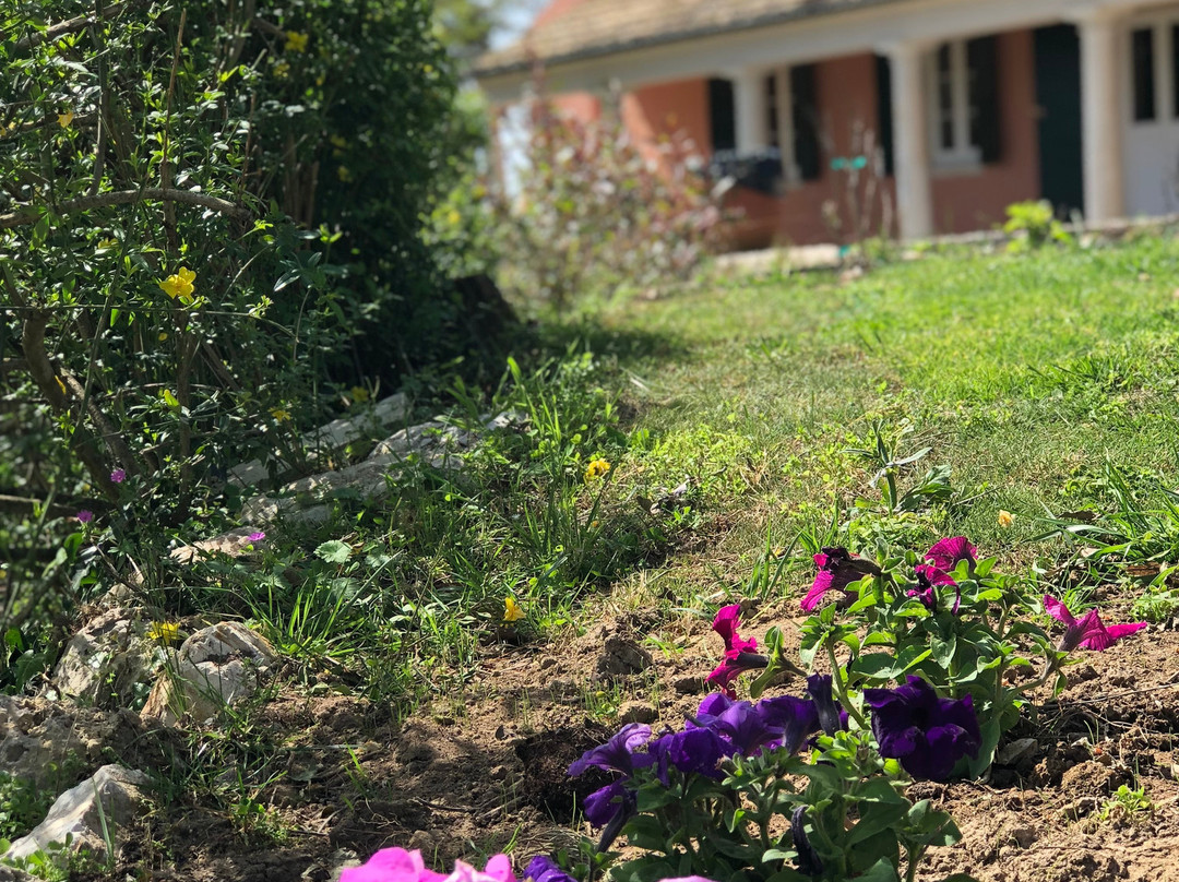 Capodistrias Museum - Kapodistrias Museum景点图片