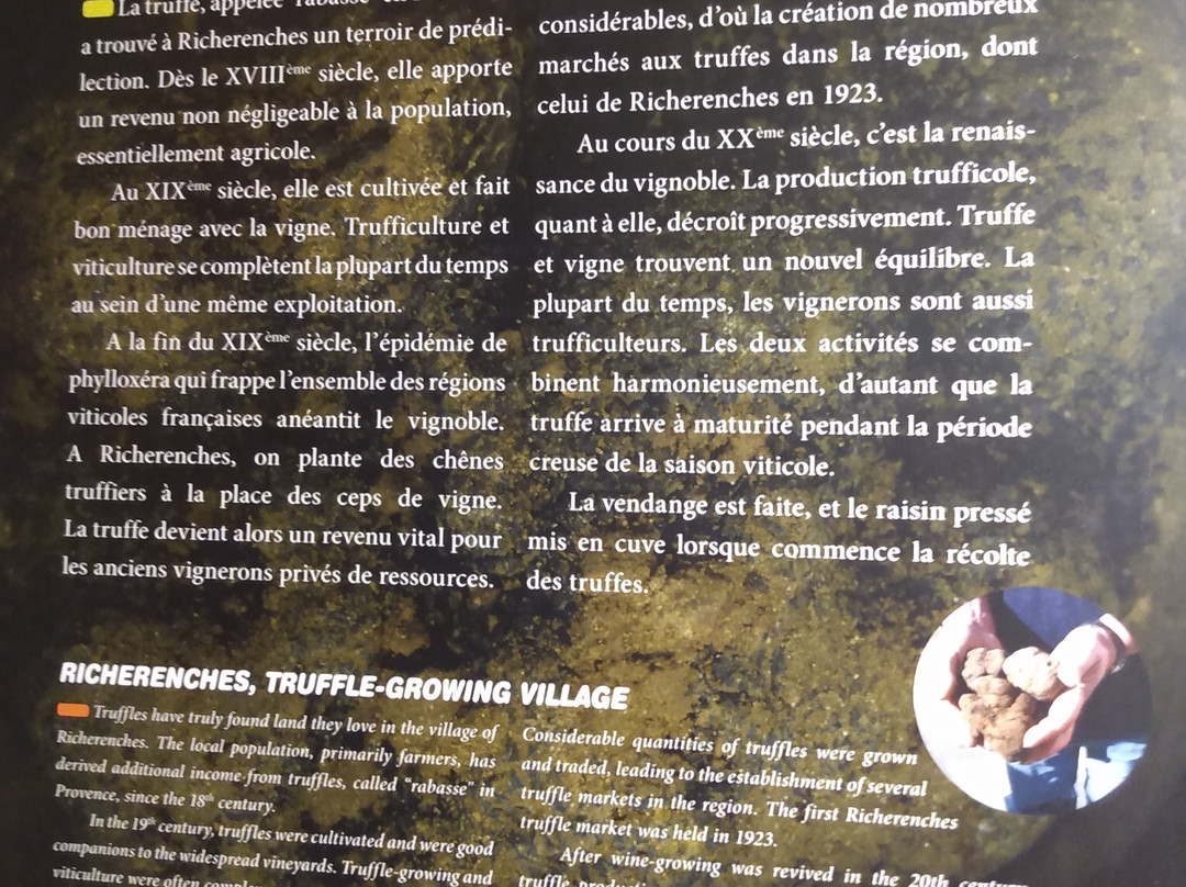 Musée de la Truffe et du Vin景点图片
