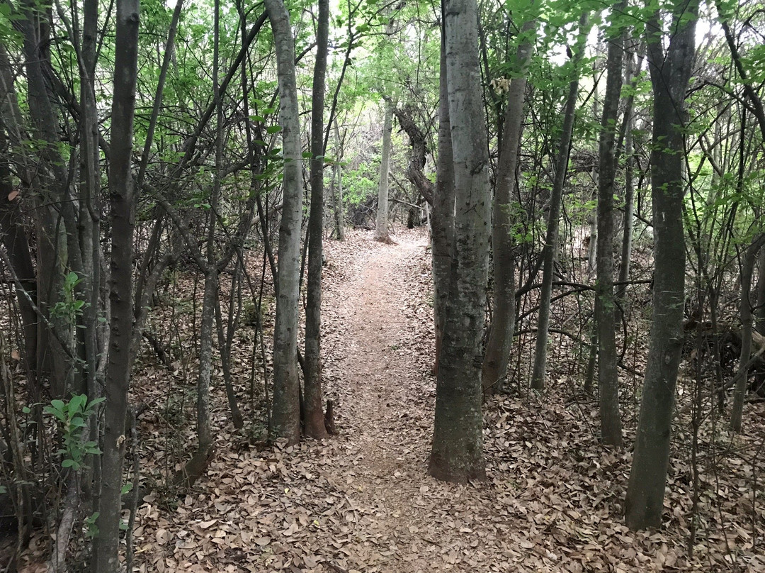 Kloofendal Nature Reserve景点图片