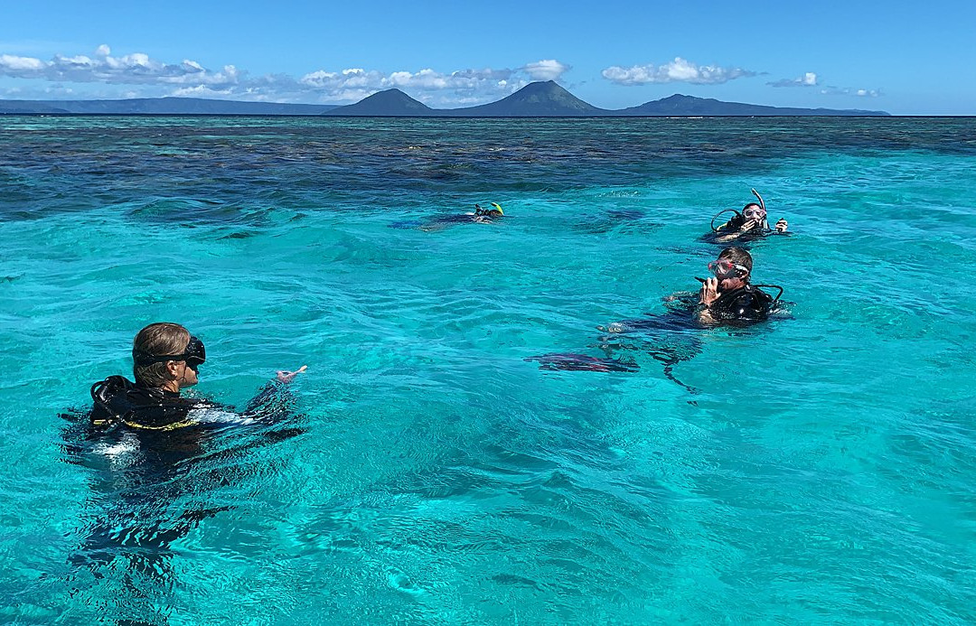 Rabaul Dive Adventures景点图片