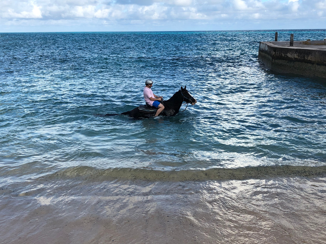 Moran Meadows-圣乔治必去景点
