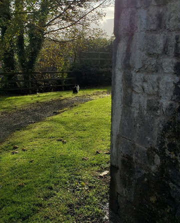 St Quentin's Castle-Cowbridge必去景点