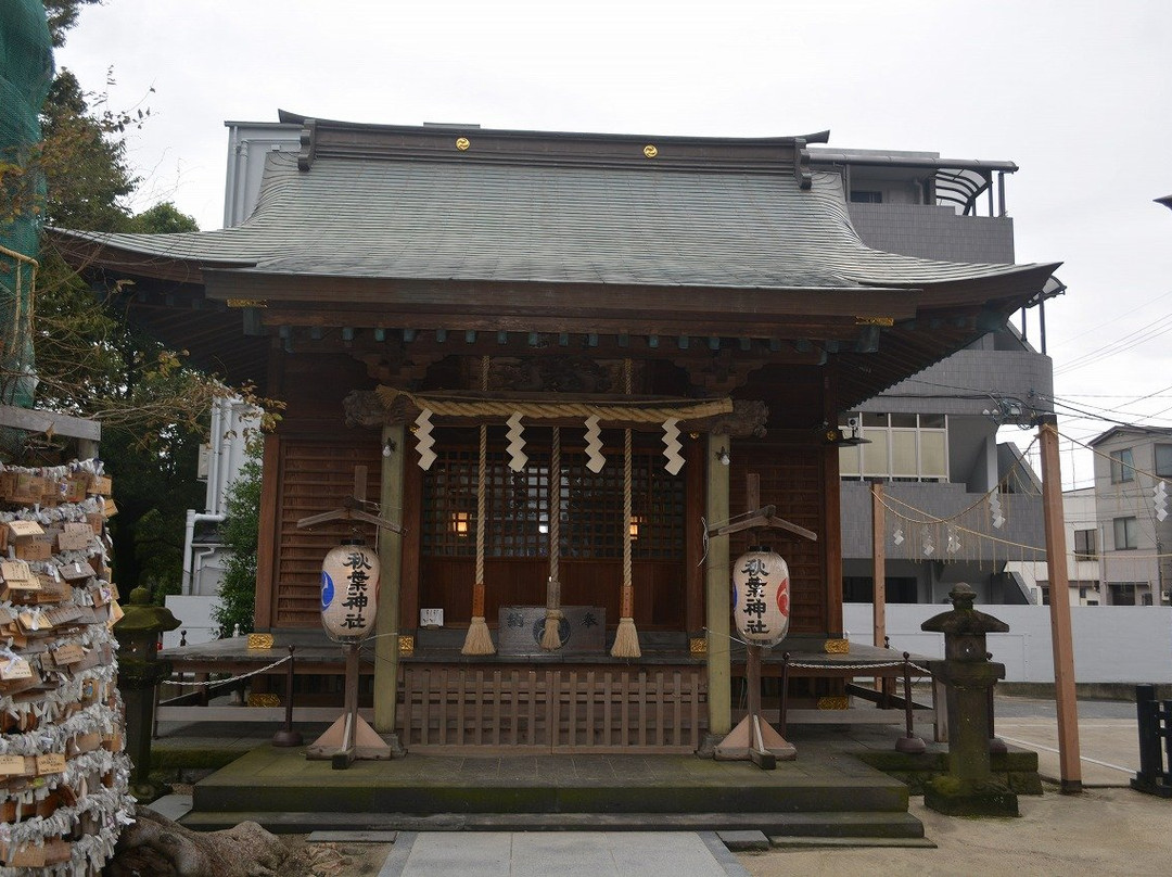 Matsudo Shrine-松户市必去景点