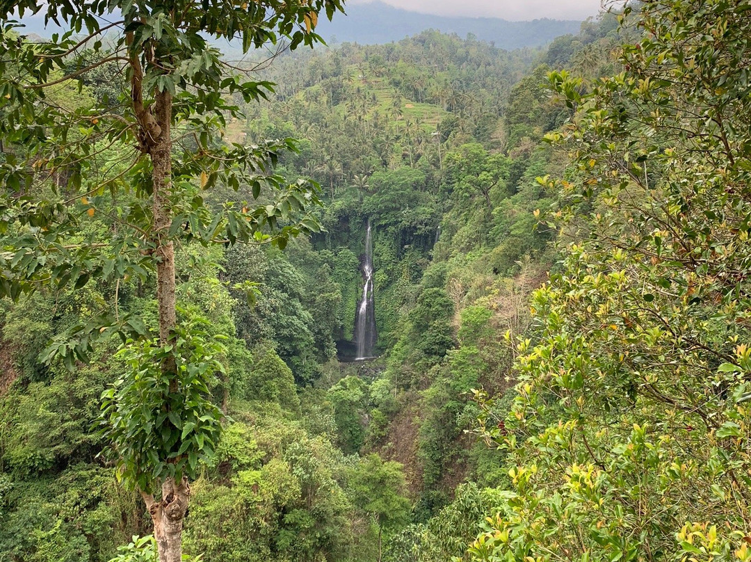 Fiji and sekumful waterfall trekking景点图片