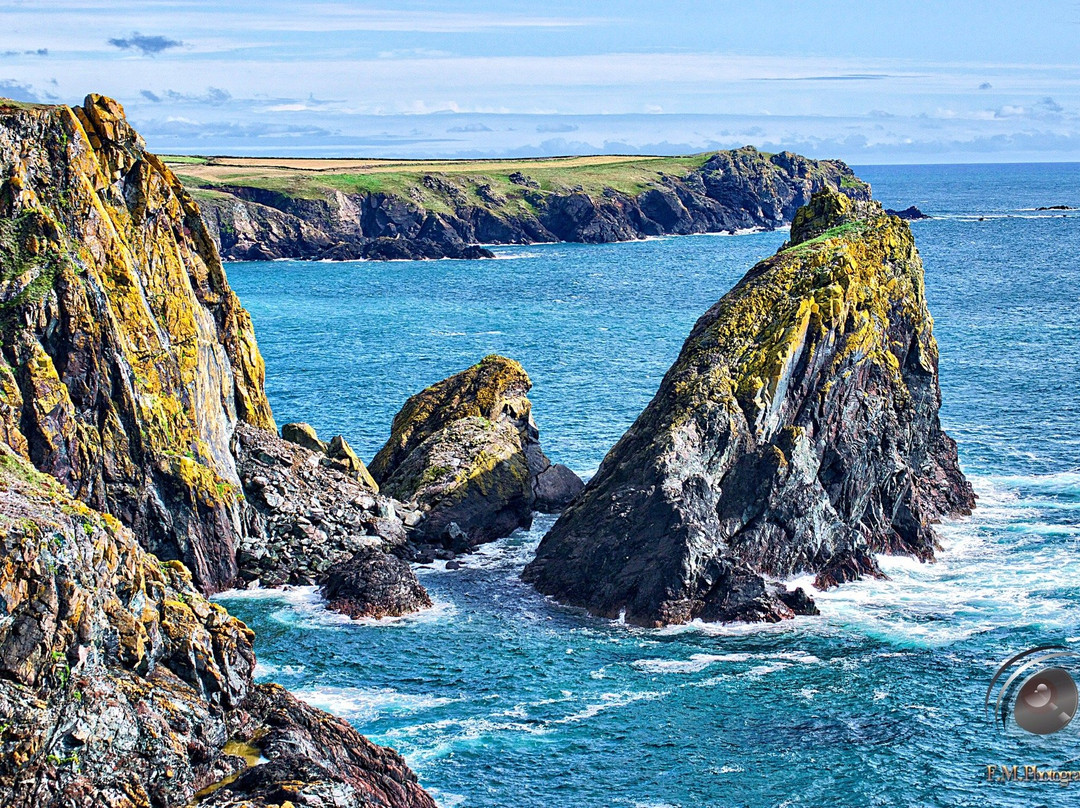 Predannack Downs Nature Reserve-康沃尔必去景点