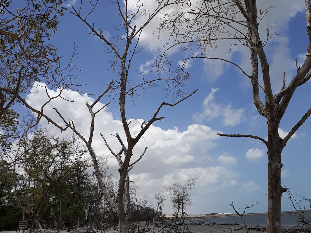 Praia Mangue Seco-Guriu必去景点