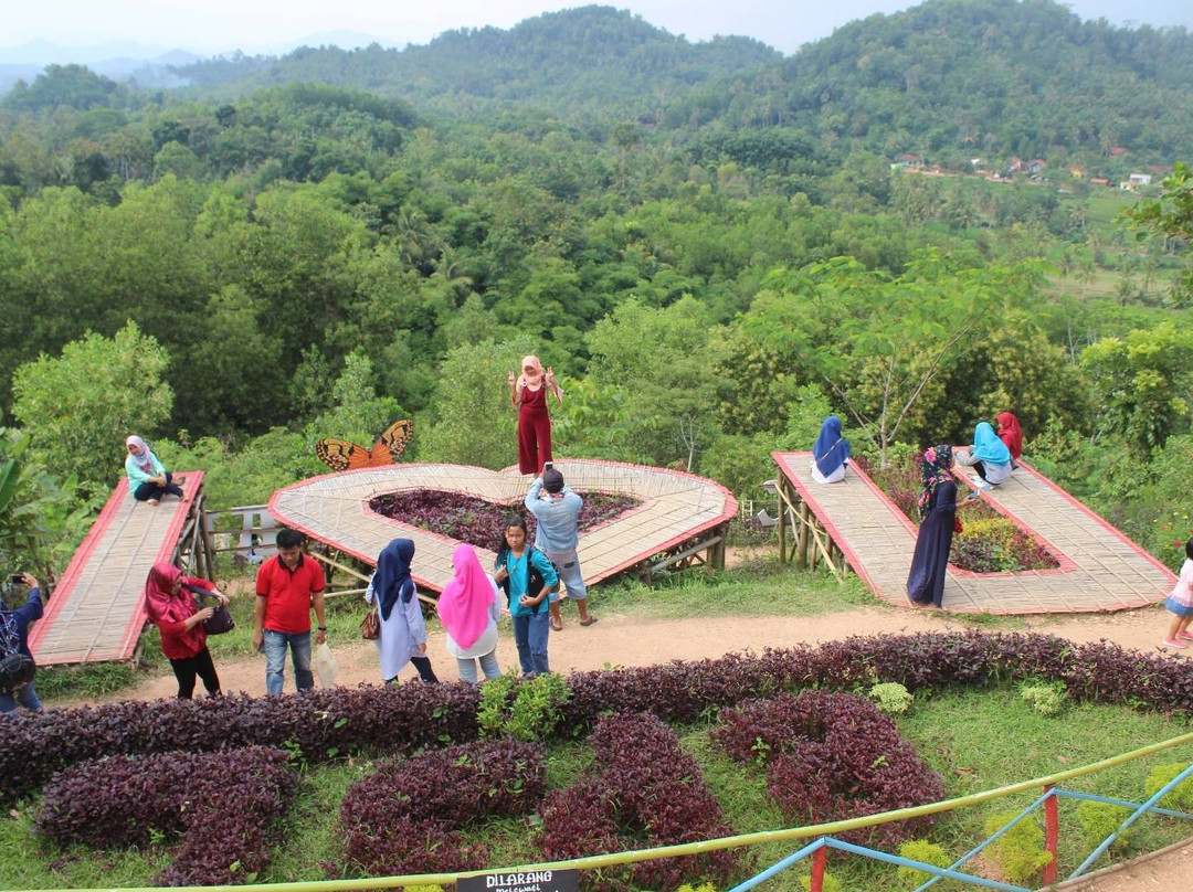 Pringsewu旅游攻略图片