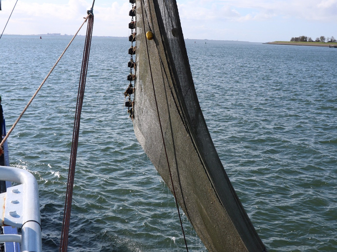 Het Wad op -TX10 & TX20-Oudeschild必去景点