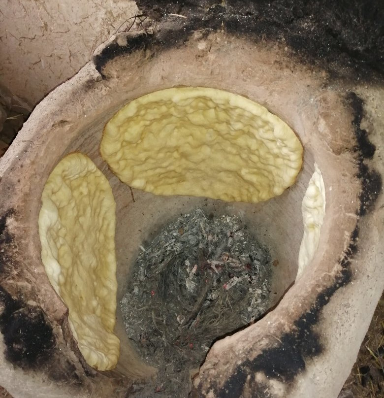 Gite Kasbah La Palmeraie主图