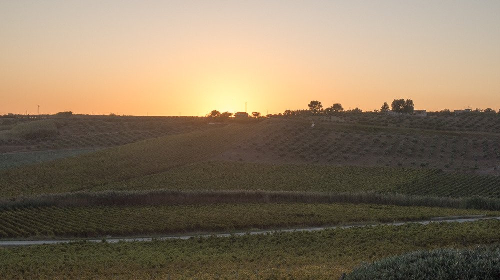 弗瑞斯特里亚普莱奈特庄园酒店主图