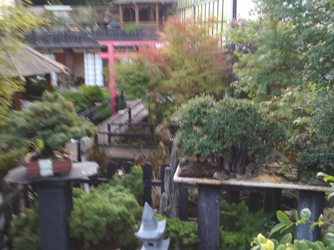 Museu do Bonsai-辛特拉必去景点