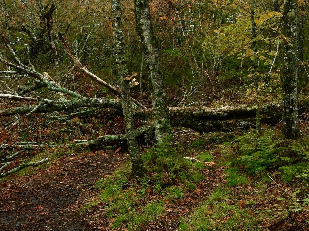 Cape Split Hiking Trail-Scots Bay必去景点
