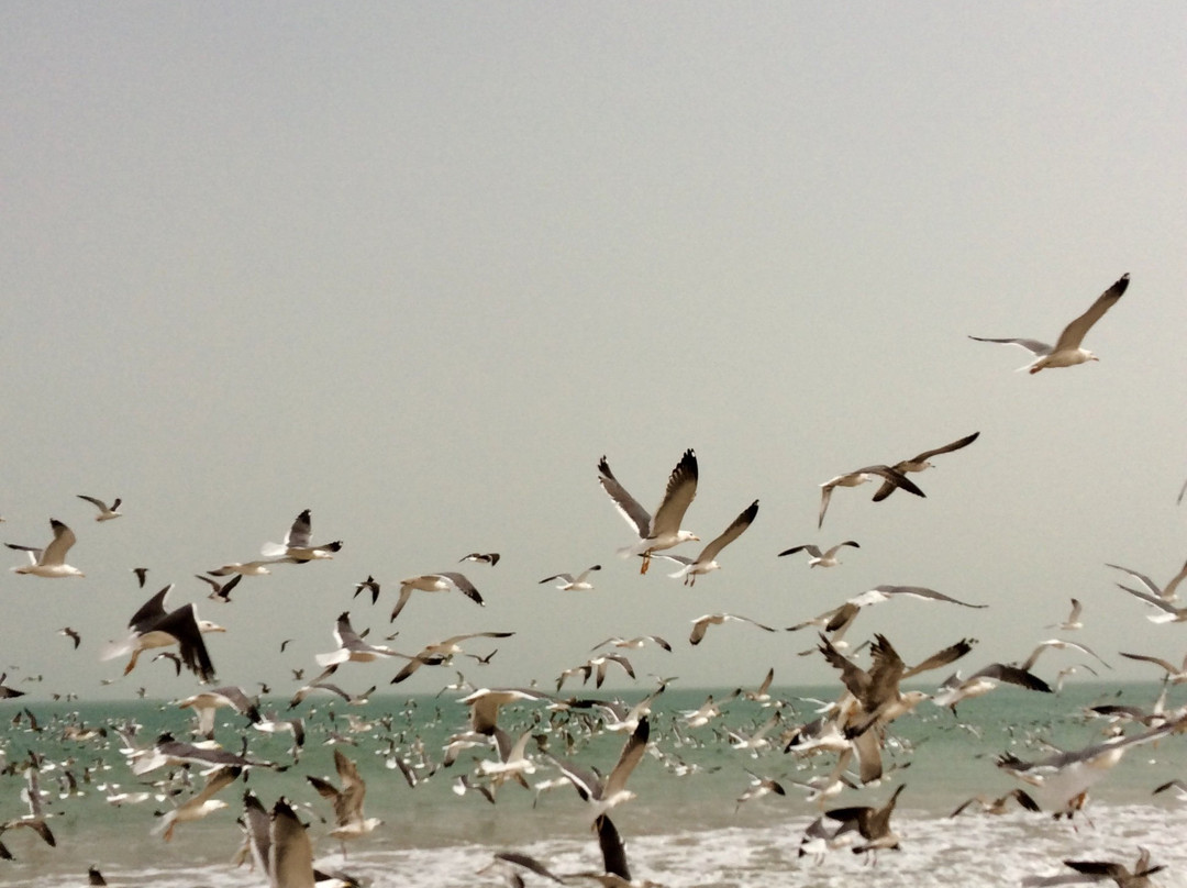 Sea and Dunes-Ruwi必去景点
