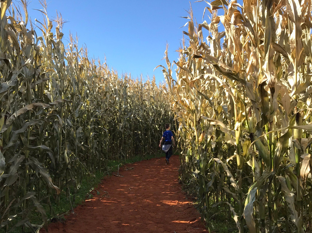 Coastal Black Estate Winery-黑溪必去景点
