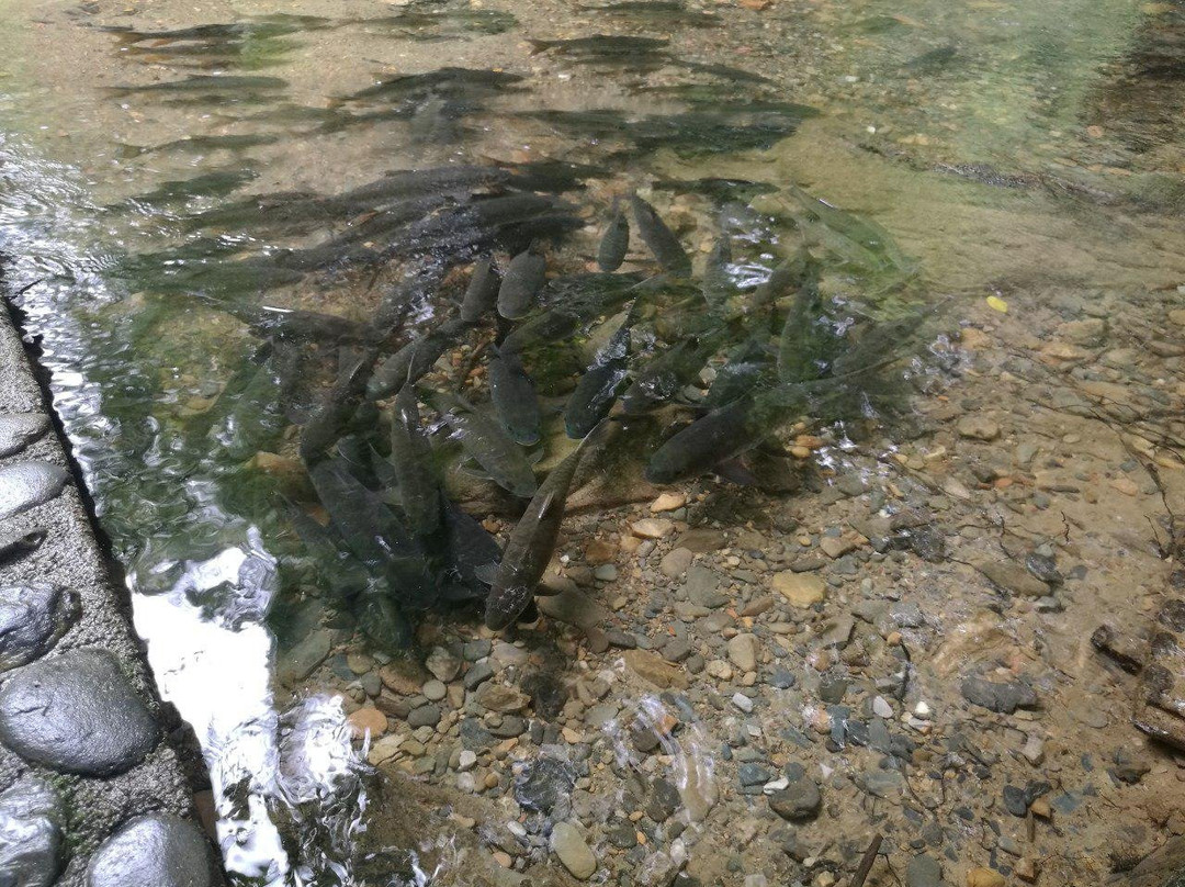 Si Phang Nga National Park-攀牙必去景点