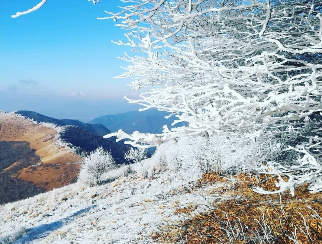 Il Monte Bollettone (1300m)景点图片