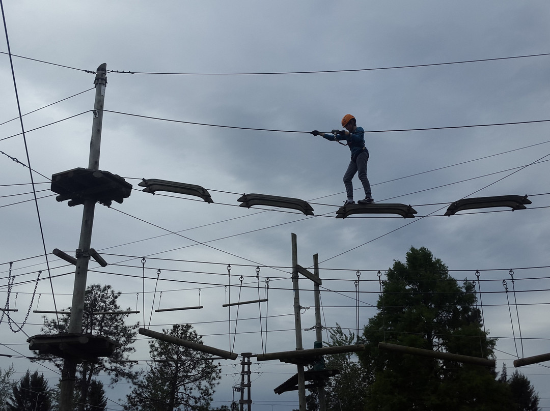 Parque Aereo Euca Tigre景点图片