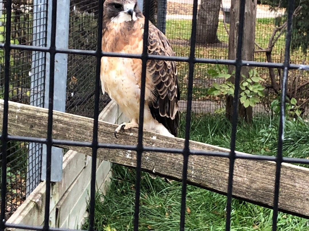 Bramble Park Zoo-沃特敦必去景点
