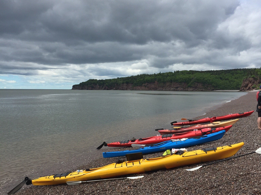 Bay Of Fundy Adventures