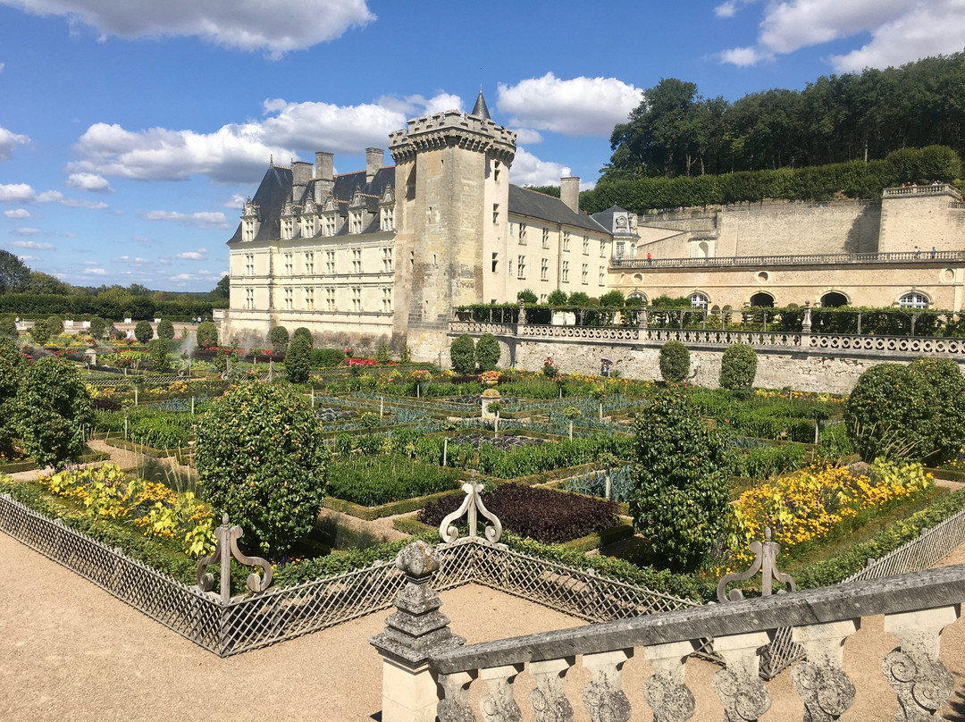 Saumur Bike Hire景点图片