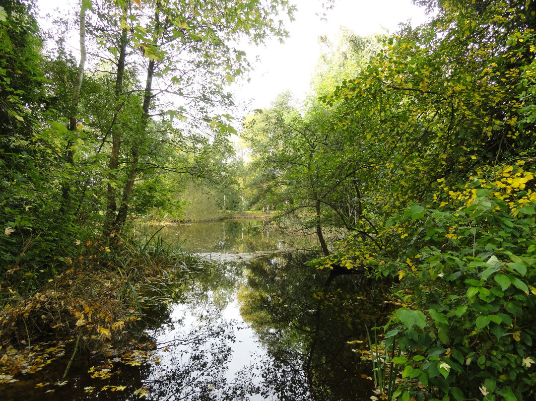 Arboretum Heempark-代尔夫特必去景点