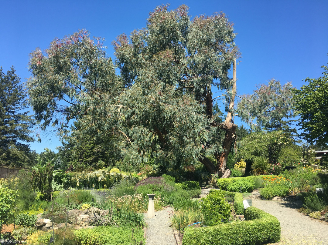 The Gardens at HCP景点图片