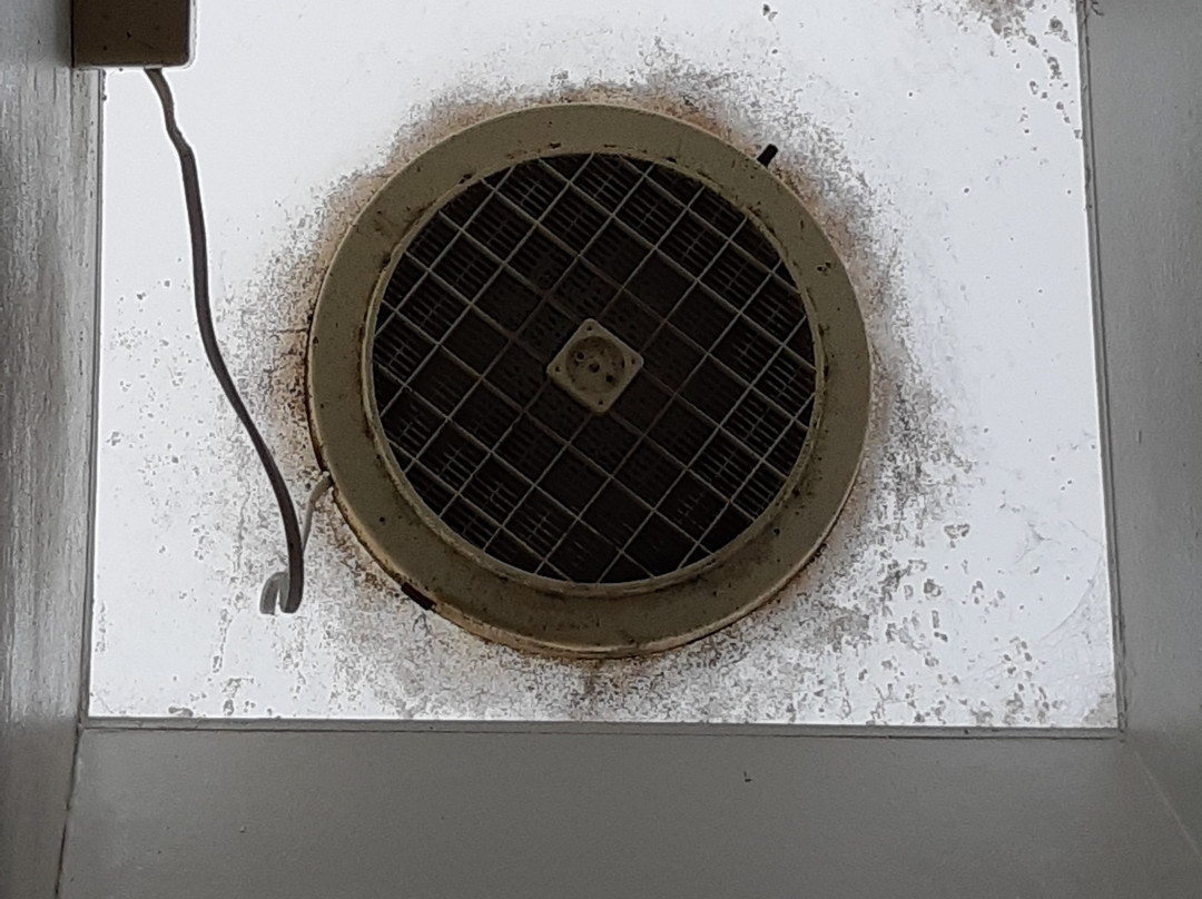 Torquay Tropicana Motel主图